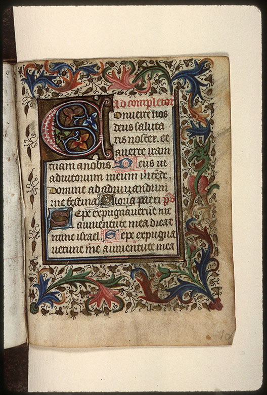 Heures - Hybride zoomorphe