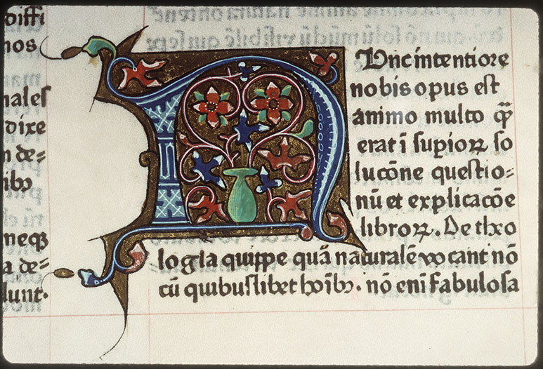 Civitate Dei (De) - Vase de fleurs