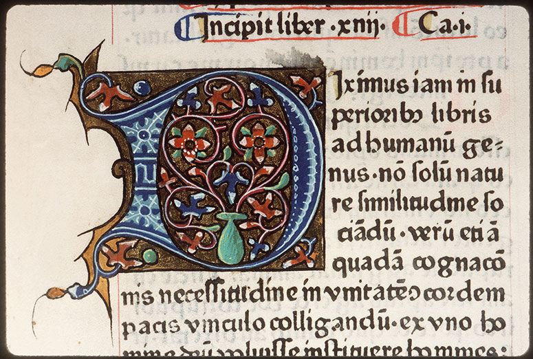 Civitate Dei (De) - Vase de fleurs_0