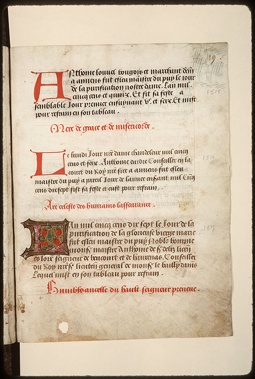 Registre des maîtres de la confrérie Notre-Dame du Puy d'Amiens - Fraises_1