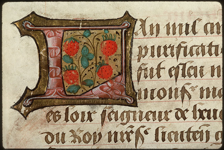 Registre des maîtres de la confrérie Notre-Dame du Puy d'Amiens - Fraises