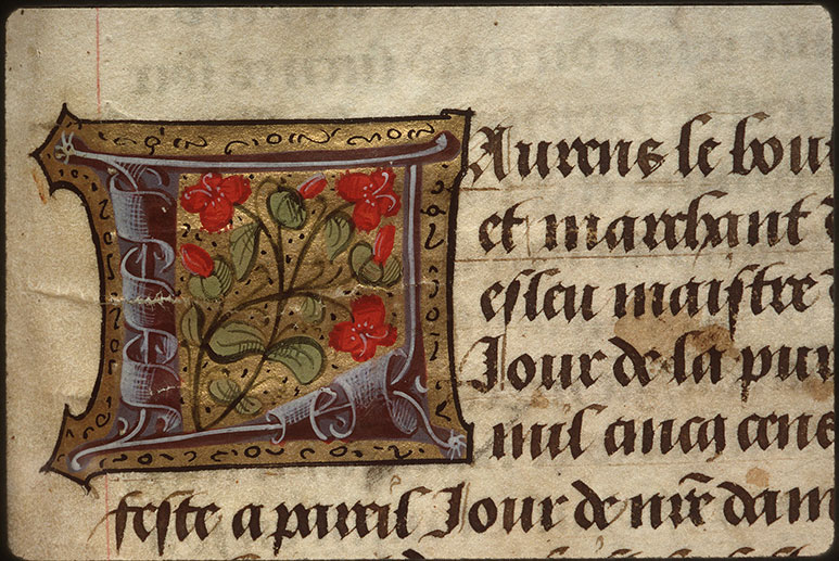 Registre des maîtres de la confrérie Notre-Dame du Puy d'Amiens - Fleurs