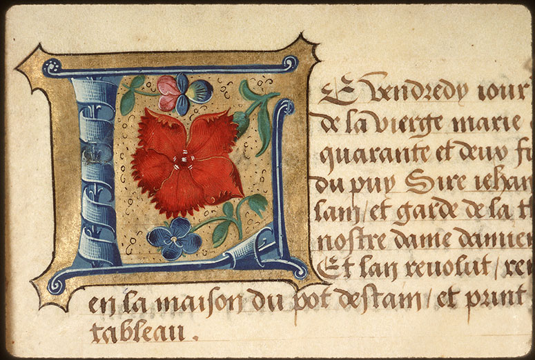 Registre des maîtres de la confrérie Notre-Dame du Puy d'Amiens - Fleur