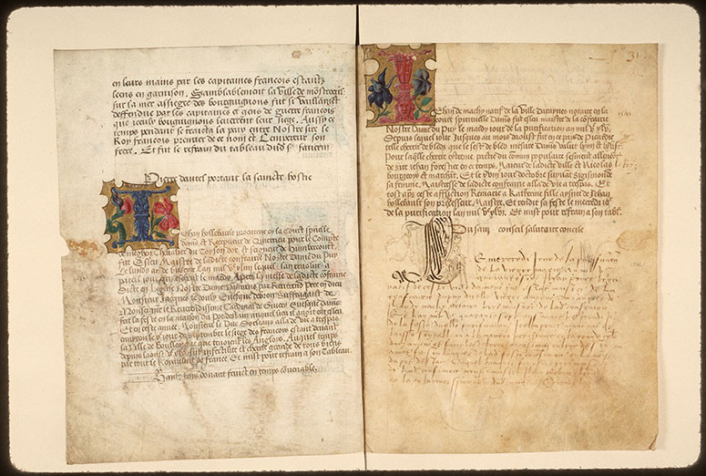 Registre des maîtres de la confrérie Notre-Dame du Puy d'Amiens - Fleurs_1