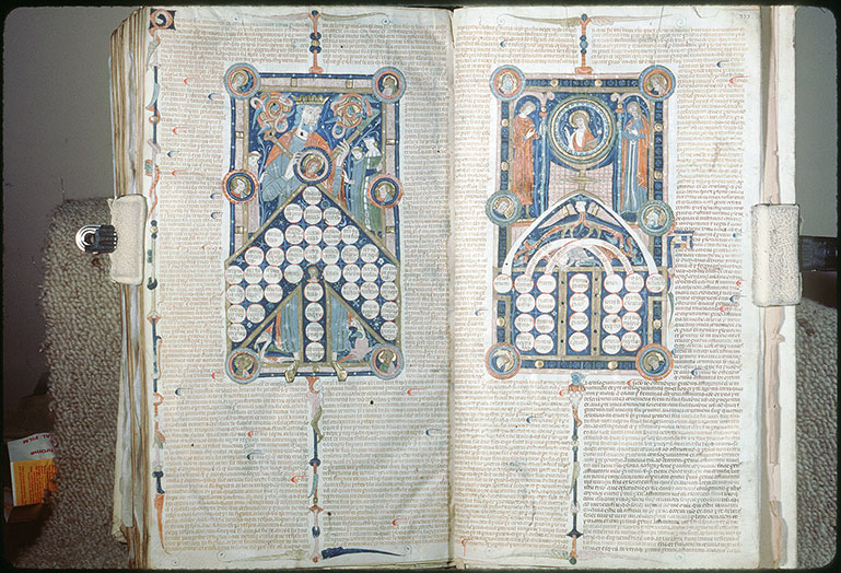 Arbor consanguinitatis et arbor affinitatis - Arbre d'affinité_2