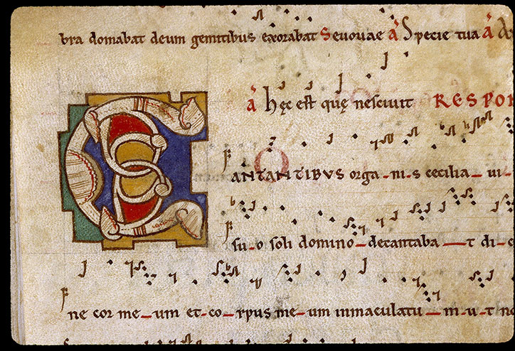 Antiphonaire cistercien - Initiale ornée