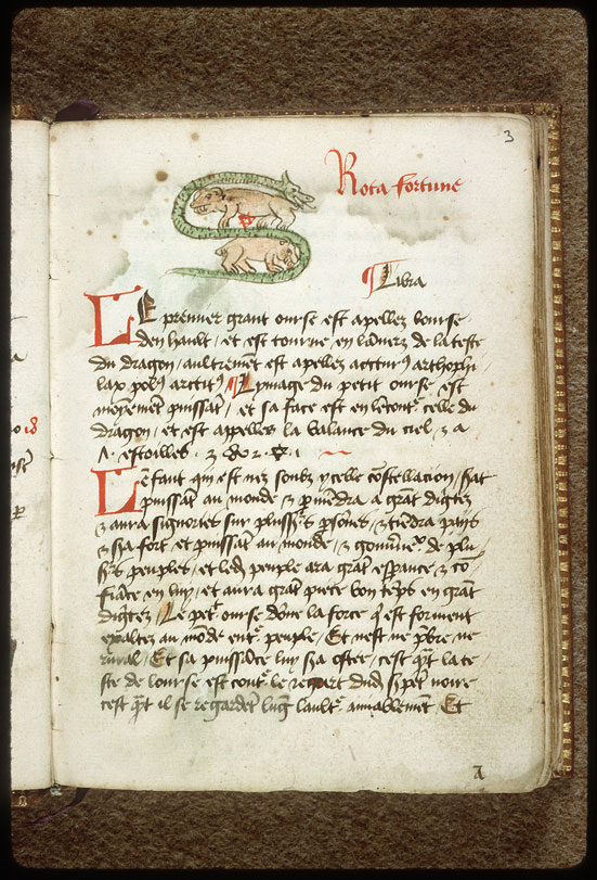 Introduction à l'astrologie - Constellation : la Grande Ourse;Constellation : la Petite Ourse;Constellation : le Dragon_1