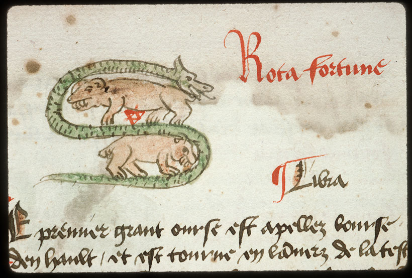 Introduction à l'astrologie - Constellation : la Grande Ourse;Constellation : la Petite Ourse;Constellation : le Dragon