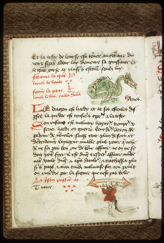 Introduction à l'astrologie - Constellation : le Dragon_1