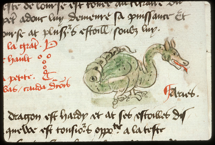 Introduction à l'astrologie - Constellation : le Dragon