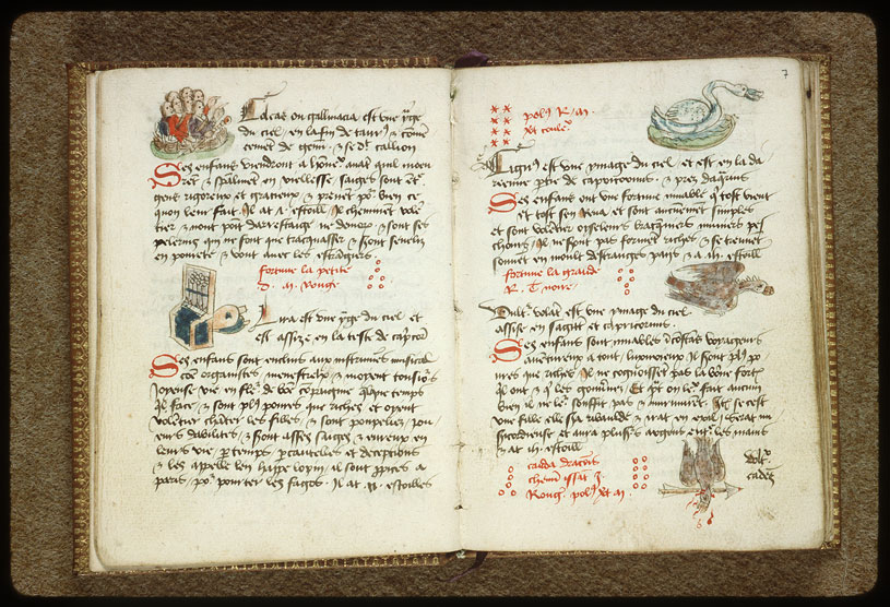 Introduction à l'astrologie - Constellation : les Pléiades_1