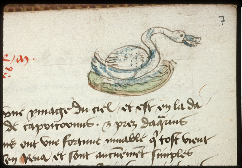 Introduction à l'astrologie - Constellation : le Cygne