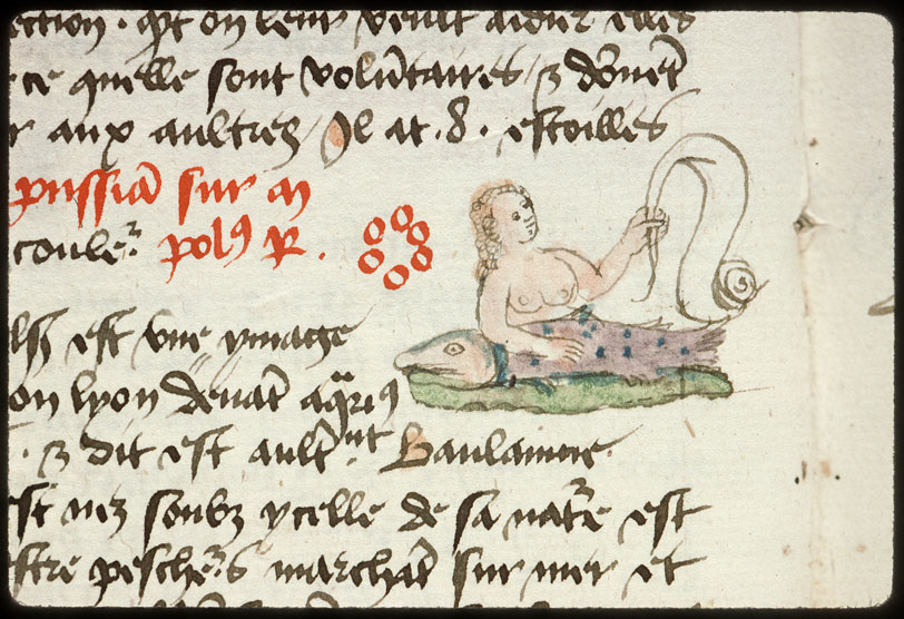 Introduction à l'astrologie - Constellation : la Baleine