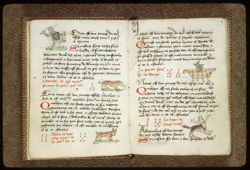 Introduction à l'astrologie - Constellation : le Grand Chien_1