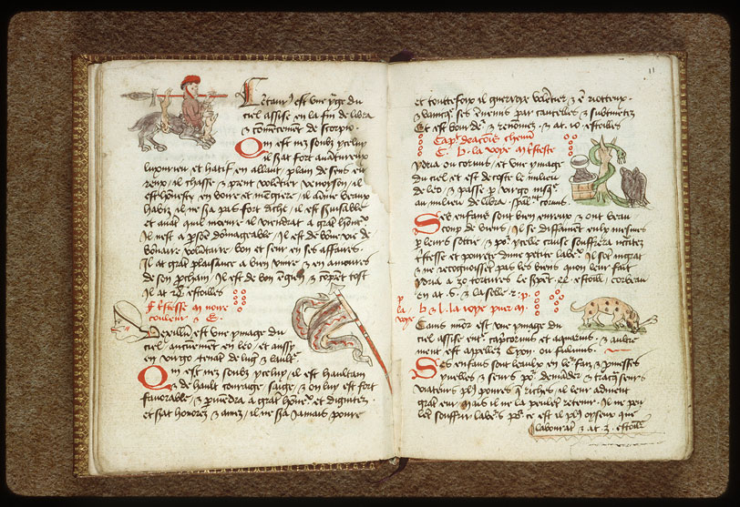 Introduction à l'astrologie - Constellation : l'Hydre femelle;Constellation : la Coupe;Constellation : le Corbeau_1