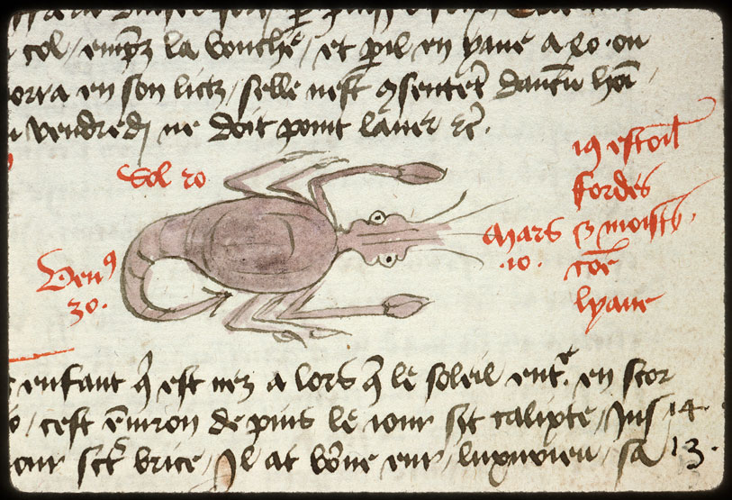 Introduction à l'astrologie - Constellation : le Scorpion_0