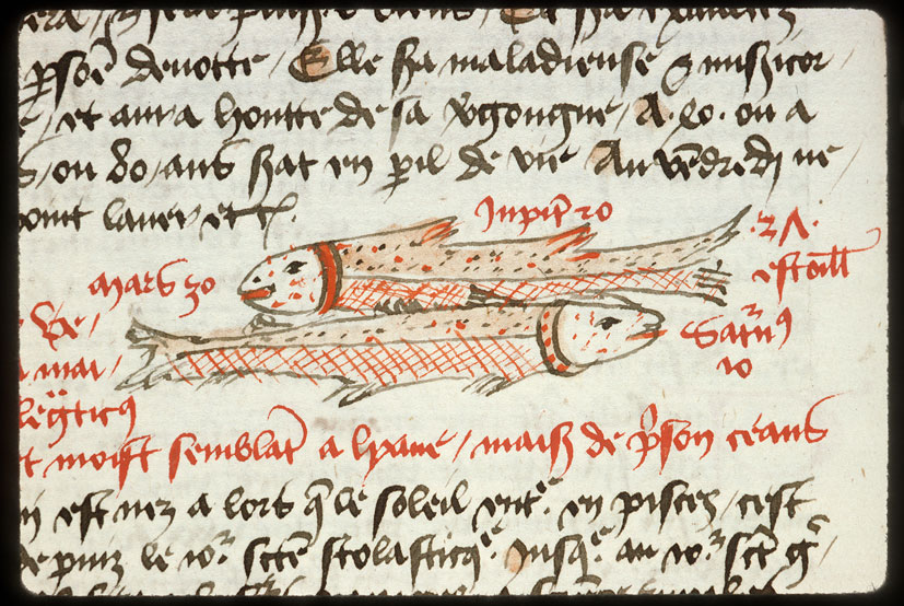 Introduction à l'astrologie - Constellation : les Poissons