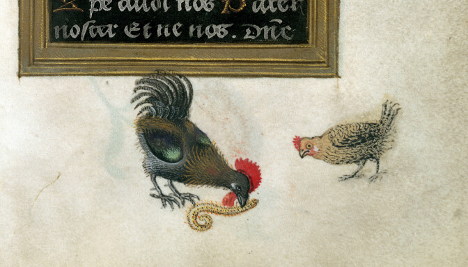 Heures - Coq et poule