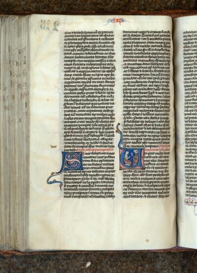 Bible - Job et sa femme_1