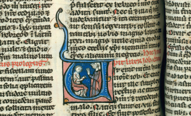 Bible - Job et sa femme