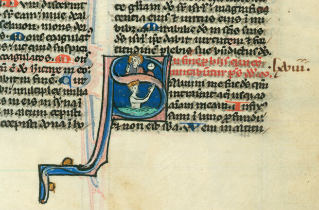 Bible - David dans les eaux du désespoir
