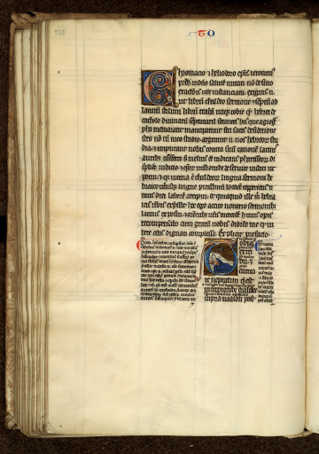 Bible glosée (partie de) - Tobit devenant aveugle_1