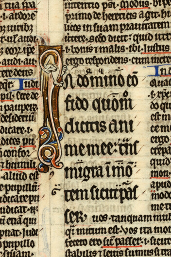 Bible glosée (partie de) - Hybride zoomorphe