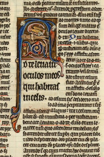 Bible glosée (partie de) - Hybride zoomorphe attaquant un lion
