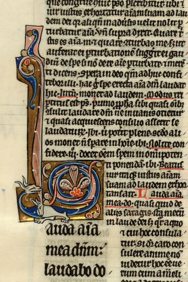 Bible glosée (partie de) - Hybrides zoomorphes