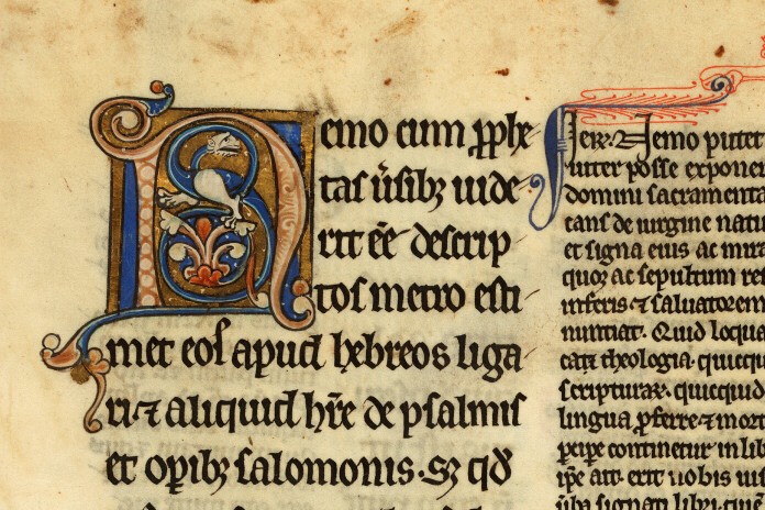 Bible glosée (partie de) - Hybride zoomorphe_0