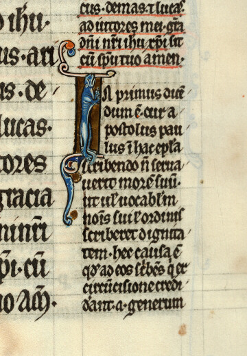 Bible glosée (partie de) - Fauve_0