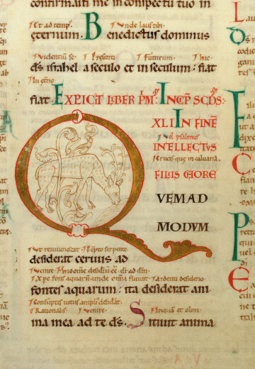 Bible glosée (partie de) - Cerf se désaltérant à une eau vive