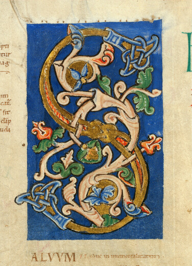Bible glosée (partie de) - Initiale ornée