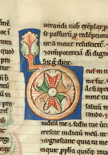 Flores Psalmorum - Initiale ornée