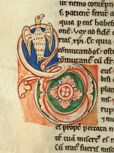 Flores Psalmorum - Oiseau