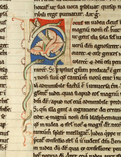 Flores Psalmorum - Serpent