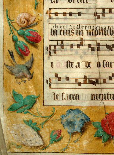 Graduel à l'usage de l'abbaye Sainte-Rictrude de Marchiennes - Page décorée