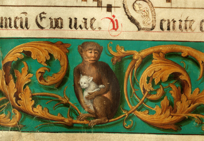 Graduel à l'usage de l'abbaye Sainte-Rictrude de Marchiennes - Singe et chat