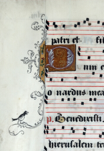 Antiphonaire à l'usage de l'abbaye Sainte-Rictrude de Marchiennes - Initiale ornée