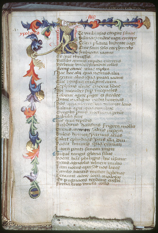 Tragoediae - Page décorée