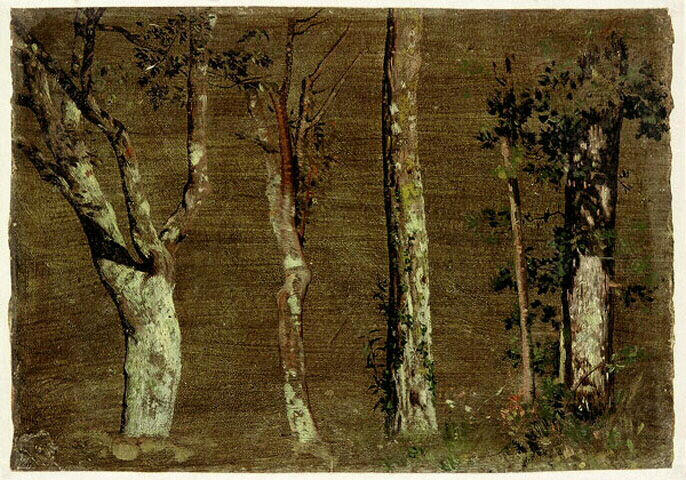 Etudes de paysages_1