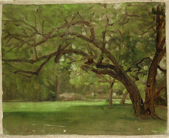 Etudes de paysages, Armand Cambon