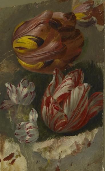 ETUDE DE TULIPES, Moïse Jacobber, 1863 avant