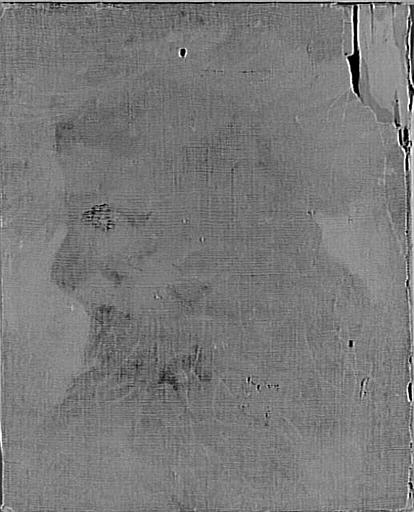 Bouffon d'Henri d'Albret_0