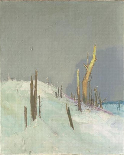 VUE DU FRONT ; LA FORÊT RAVAGÉE PAR LA GUERRE, Espérance Léon Broquet, 1er quart 20e siècle