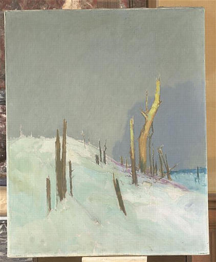 Vue du front, la forêt ravagée par la guerre, Espérance Léon Broquet, 1er quart 20e siècle