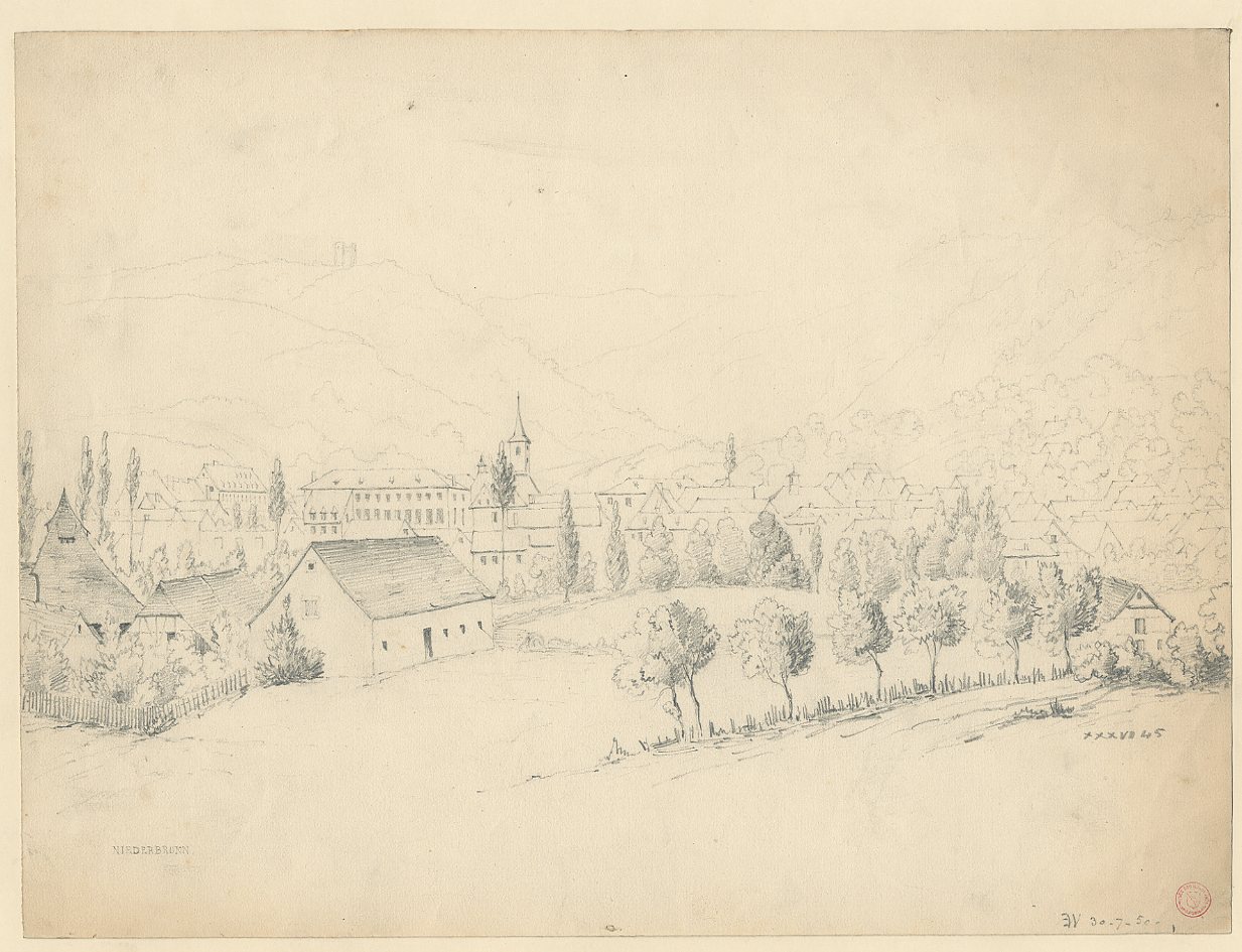 VUE D'ALSACE : NIEDERBRONN_0