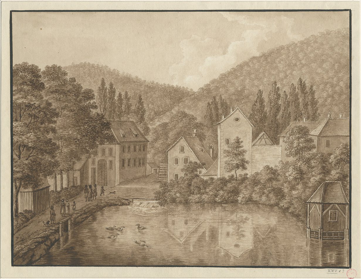 VUE D'ALSACE : PROPRIETE OESINGER A KLINGENTHAL_0