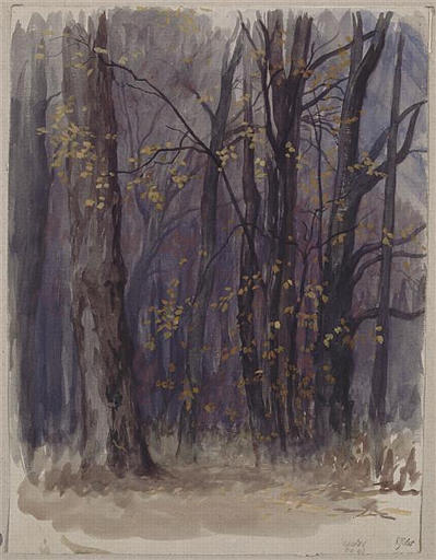 ROME, BOIS DE LA VILLA MEDICIS, TAILLIS A L'AUTOMNE_0