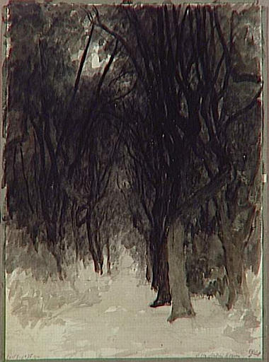 ROME, LE BOIS DE LA VILLA MEDICIS_0